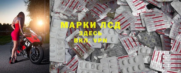 индика Беслан