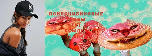 дмт Балабаново