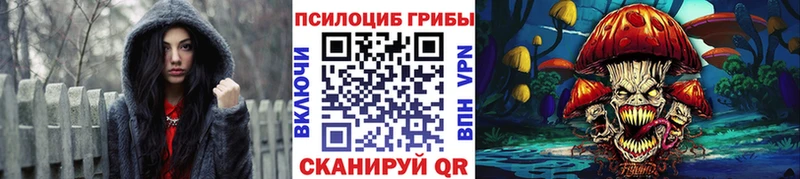 omg ссылка Никольск Псилоцибиновые грибы Magic Shrooms